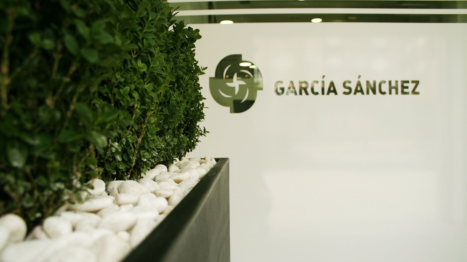 Reforma de aseguradora